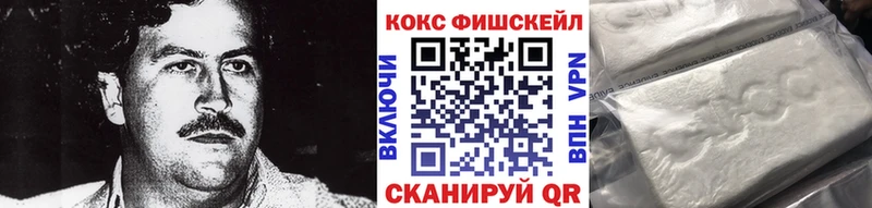 COCAIN Fish Scale Купить закладки Минусинск