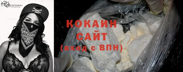 дживик Карпинск
