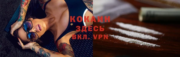 дживик Карпинск