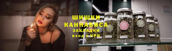 дживик Карпинск