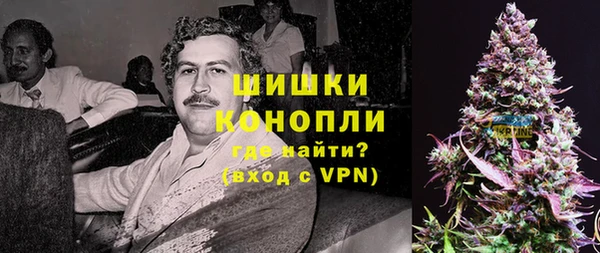 дживик Карпинск