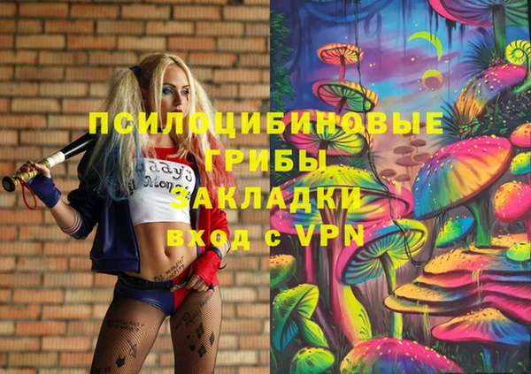 хмурый Касимов