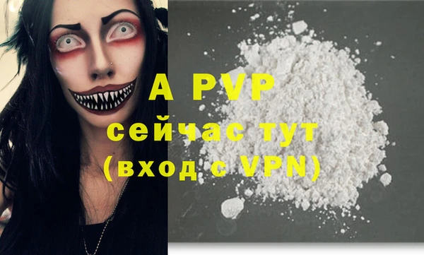 хмурый Касимов
