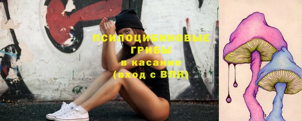 дживик Карпинск
