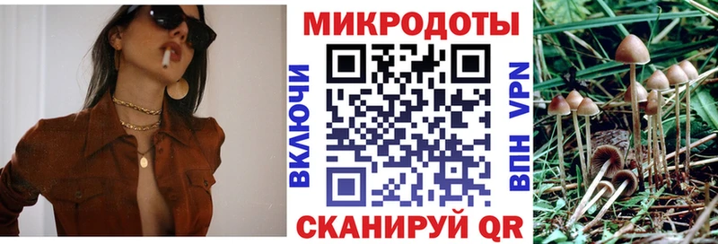 Галлюциногенные грибы GOLDEN TEACHER  Купить закладки  Минусинск 